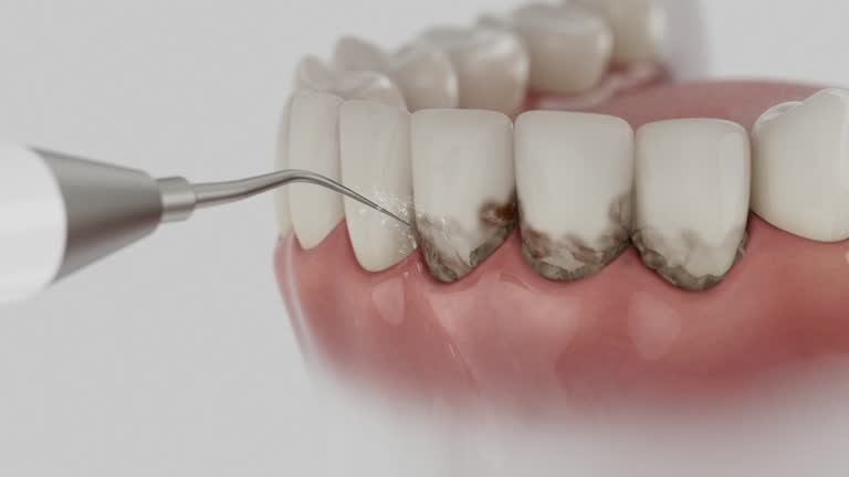 Reliable Dental contractor in Cambridge Springs, PA by Dentist Open Now